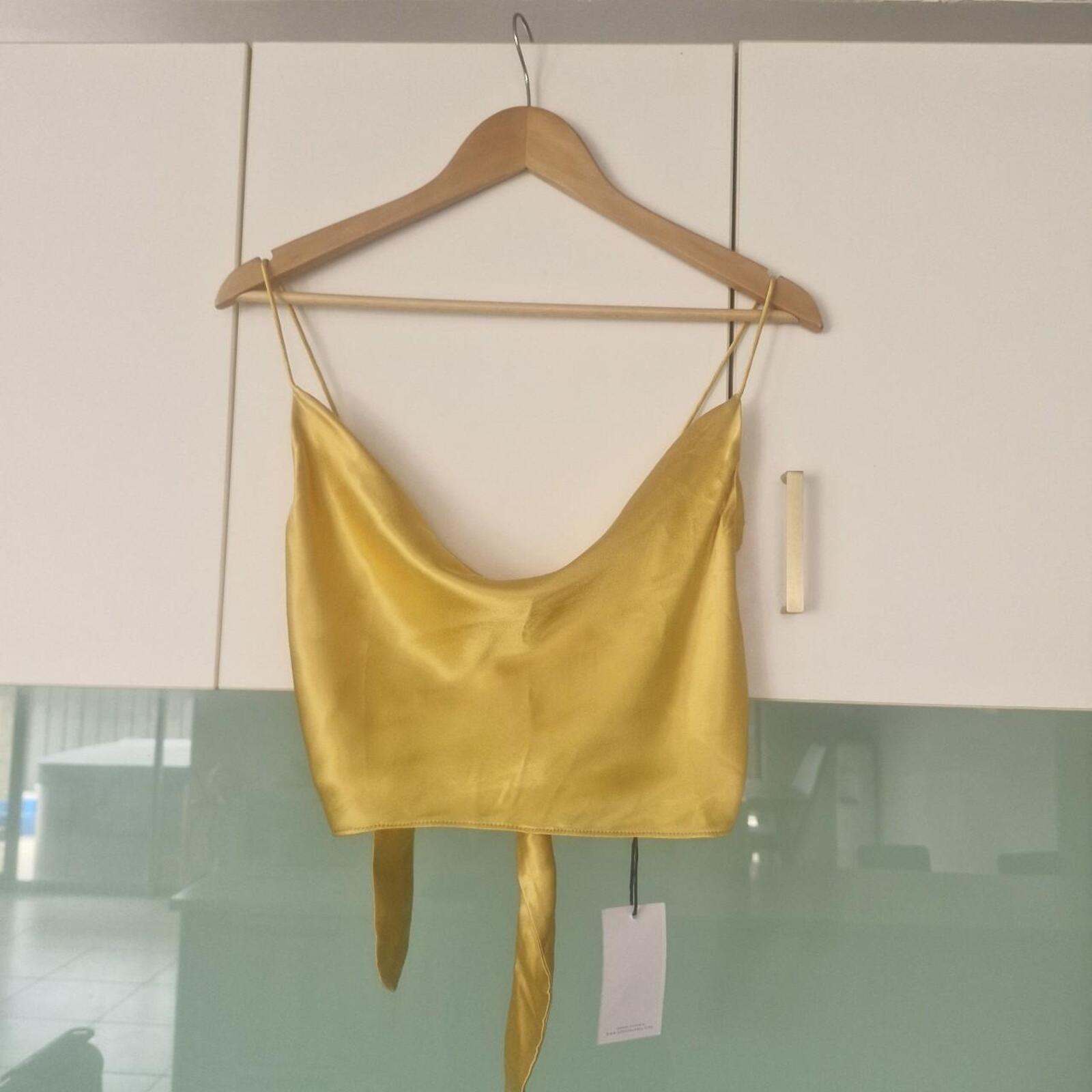 CARVER Gold satin crop top with tie detail
