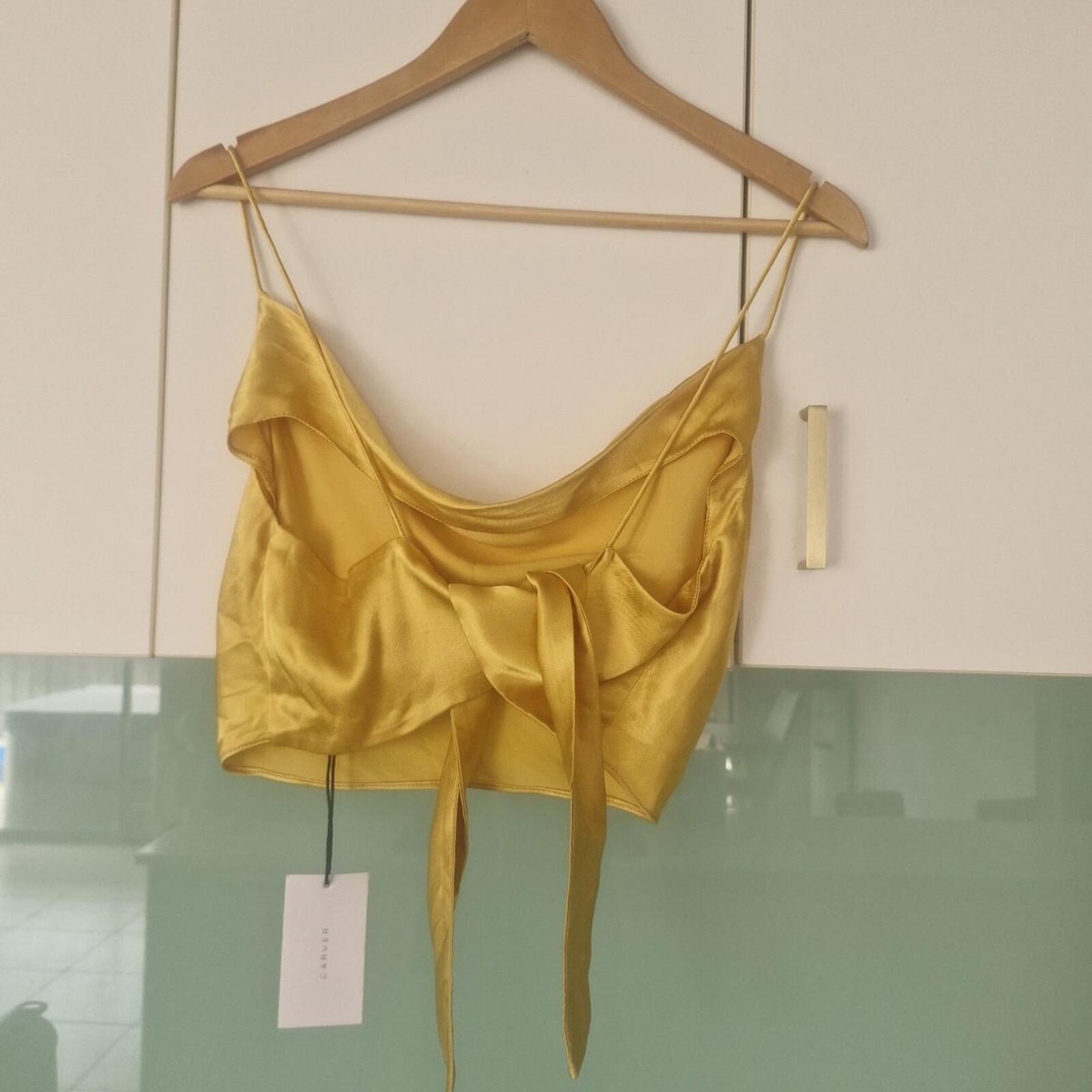 CARVER Gold satin crop top with tie detail